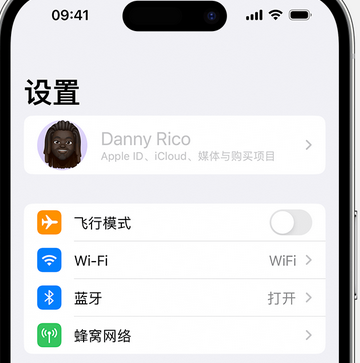 尧都appleID维修服务iPhone设置中Apple ID显示为灰色无法使用