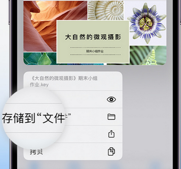 尧都apple维修中心分享iPhone文件应用中存储和找到下载文件