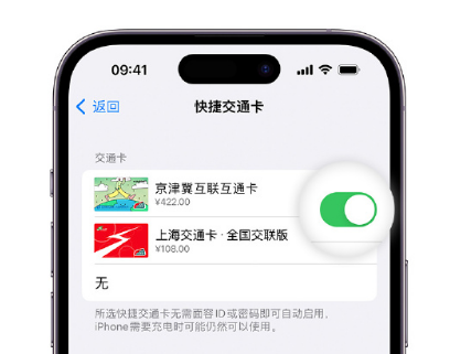 尧都apple维修点分享iPhone上更换Apple Pay快捷交通卡手绘卡面 