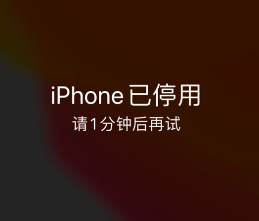 尧都苹果手机维修分享:iPhone 显示“不可用”或“已停用”怎么办？还能保留数据吗？ 