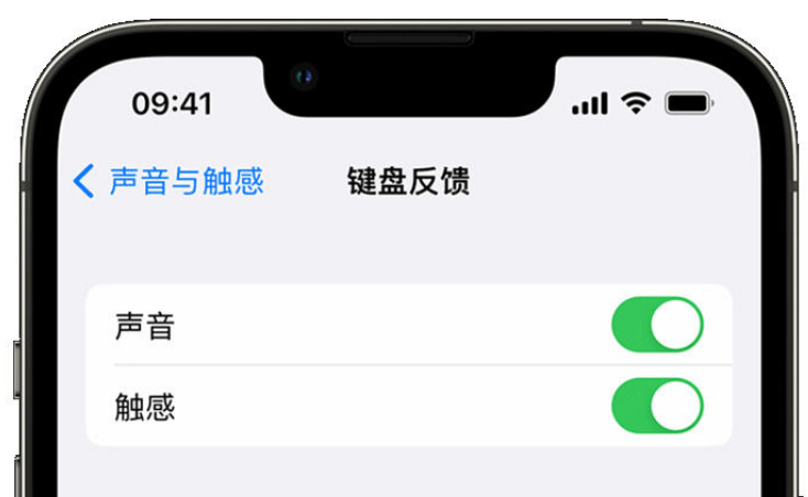 尧都苹果手机维修分享iPhone 14触感键盘使用方法 