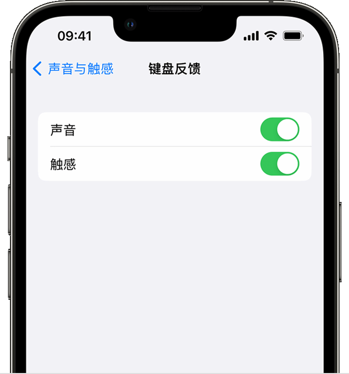 尧都苹果14维修店分享如何在 iPhone 14 机型中使用触感键盘 