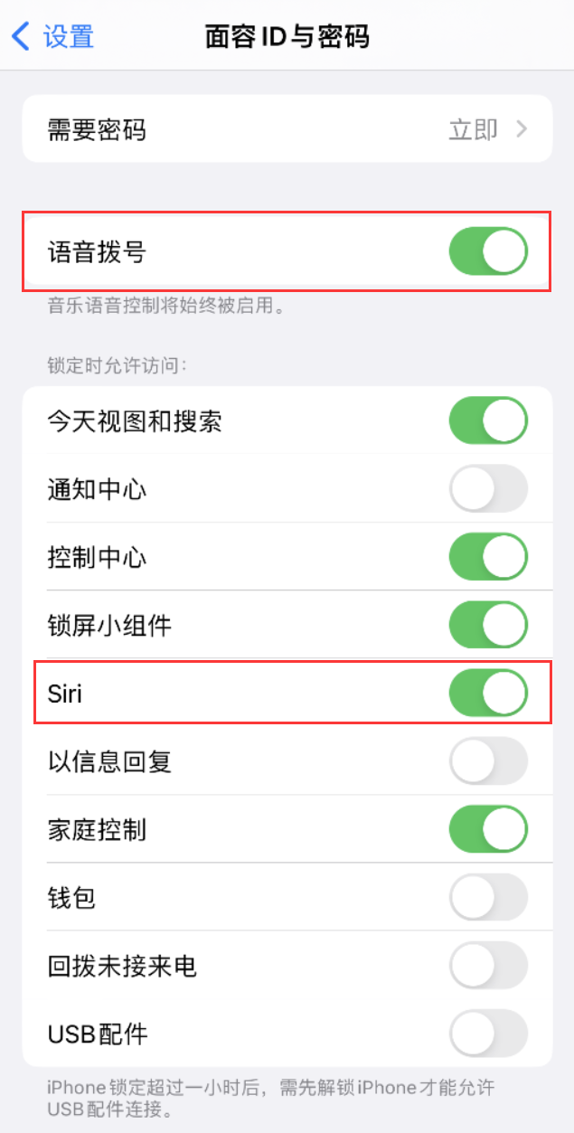 尧都苹果维修网点分享不解锁 iPhone 的情况下通过 Siri 拨打电话的方法 