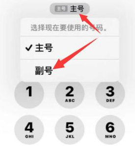 尧都苹果14维修店分享iPhone 14 Pro Max使用副卡打电话的方法 