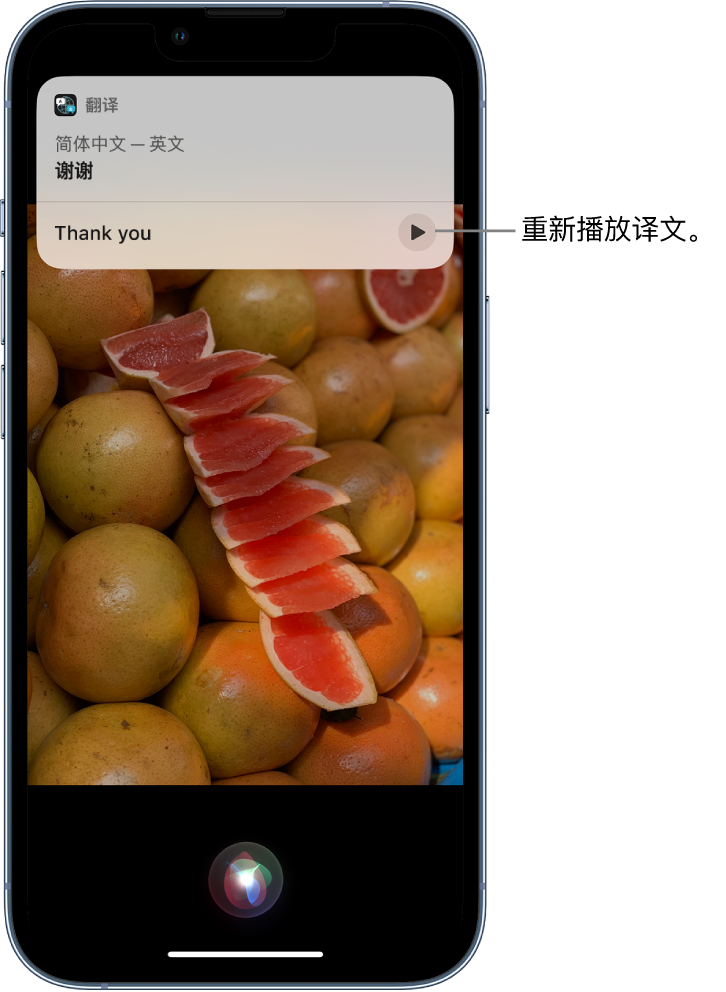 尧都苹果14维修分享 iPhone 14 机型中使用 Siri：了解 Siri 能帮你做什么 