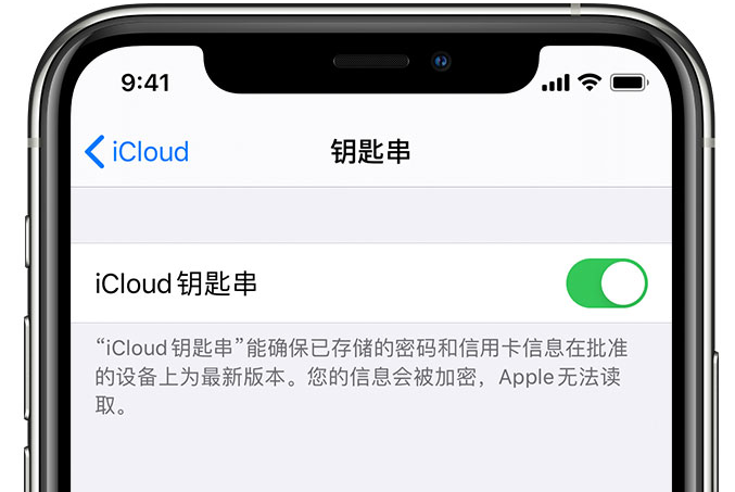 尧都苹果手机维修分享在 iPhone 上开启 iCloud 钥匙串之后会储存哪些信息 