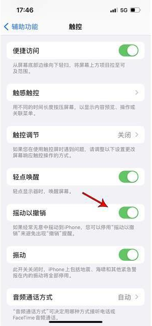 尧都苹果手机维修分享iPhone手机如何设置摇一摇删除文字 