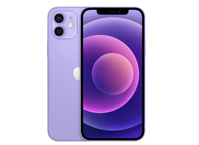 尧都苹果手机维修分享现阶段要不要入手紫色版iPhone12 