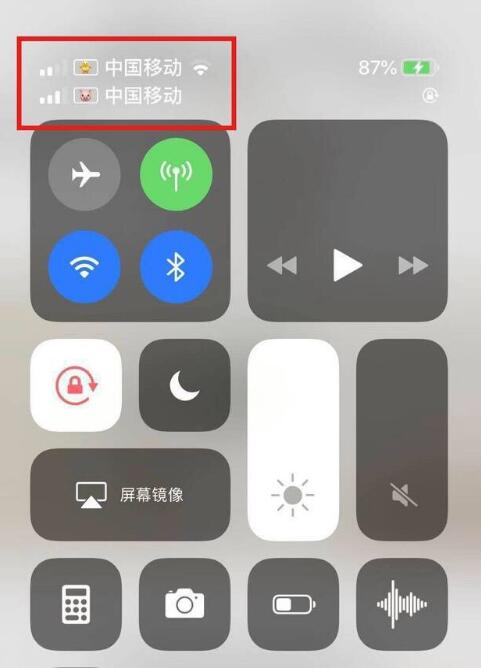 尧都苹果手机维修分享为 iPhone 12 双卡设置标签 